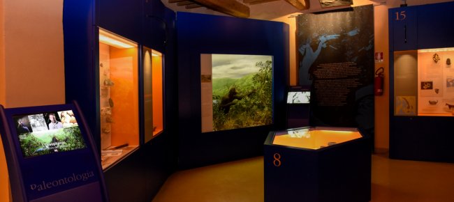 Museo di storia naturale della Maremma
