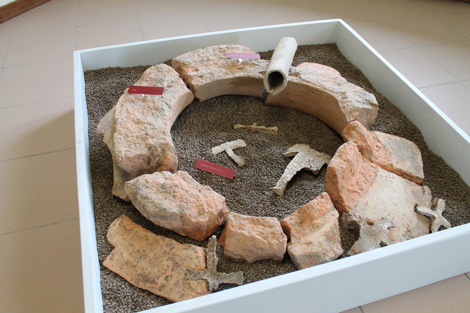 Sezione archeologica del museo