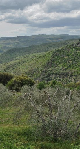 Regionales Naturschutzgebiet Ripa d'Orcia