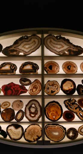 Museo Specola muestra de mineralogía