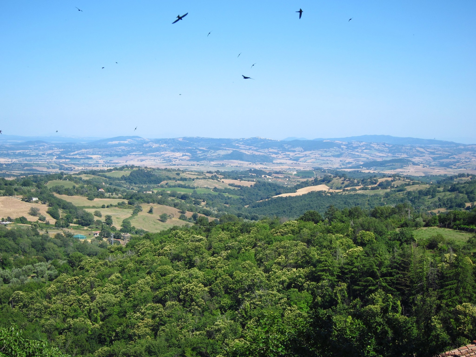 view from Scansano